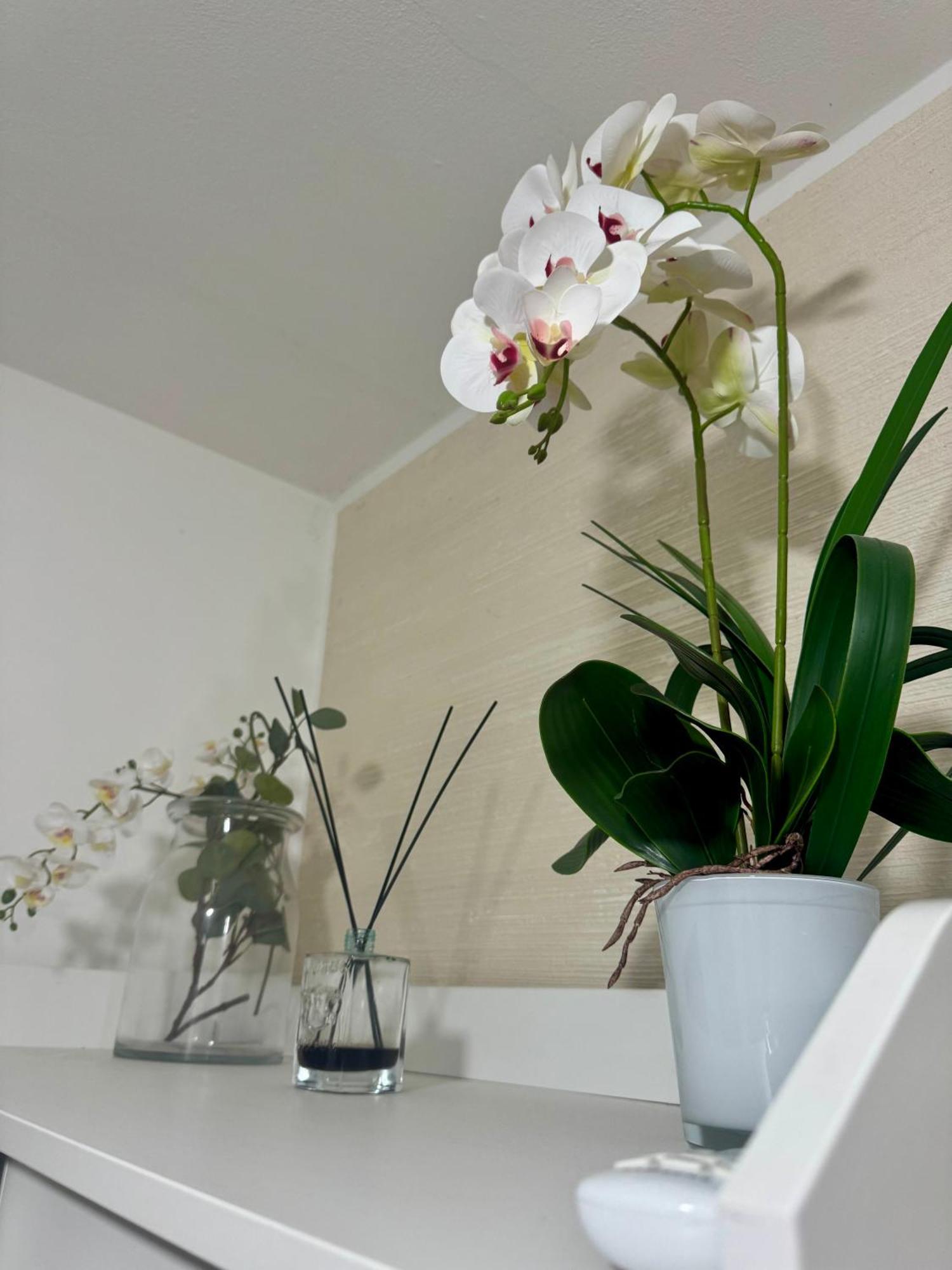 Casa Alessio - Elegante Appartamento Nel Cuore Di เชซาโน มาแดร์โน ภายนอก รูปภาพ
